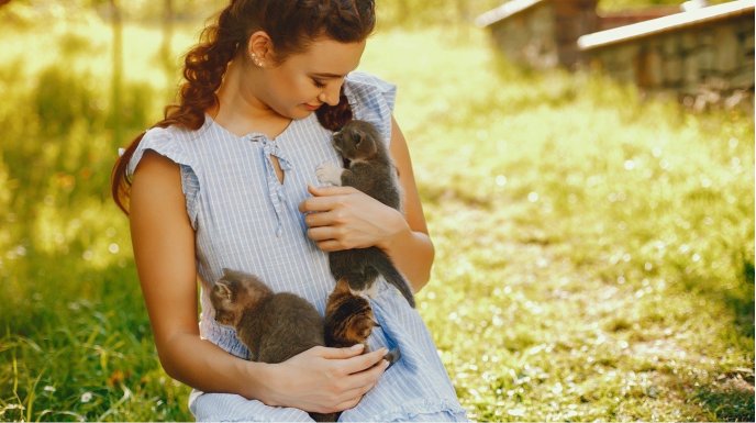  Jak działają odstraszacze zwierząt i czy są skuteczne?