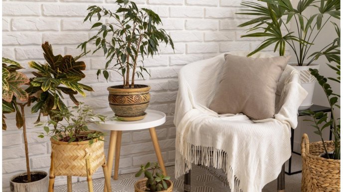  Jakie ozdoby i dodatki do wnętrz sprawią, że dom stanie się przytulniejszy?