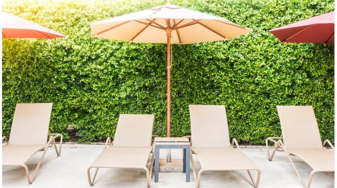  Jak wybrać idealny parasol ogrodowy do swojego tarasu?