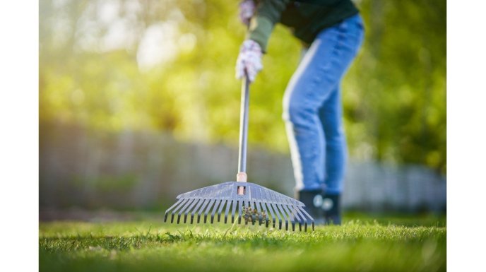  Jak dbać o trawę w ogrodzie - niezbędne produkty.