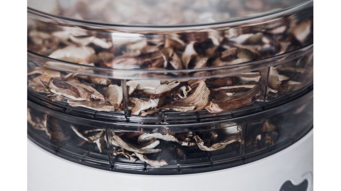  Suszarka do grzybów - jaką wybrać?