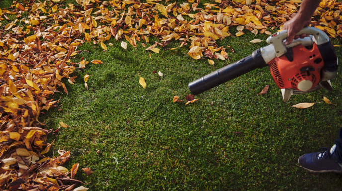  Dmuchawa do liści - przydatny gadżet na jesień