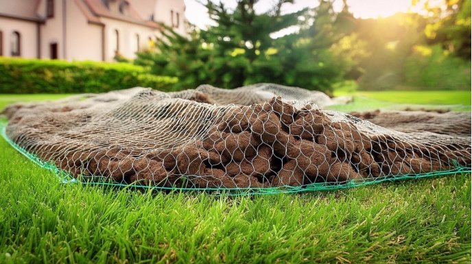  Siatka na krety - na jakiej głębokości należy zamontować?