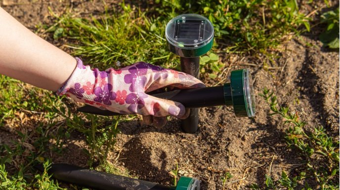  Jakie odstraszacze zwierząt są najskuteczniejsze w ogrodzie?