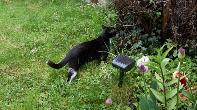  Jakie odstraszacze zwierząt są bezpieczne dla dzieci?