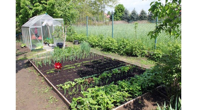 Jak urządzić tunel ogrodowy?