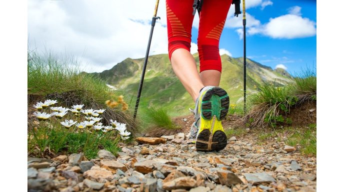 Kije do Nordic Walking, jakie wybrać dla początkujących?