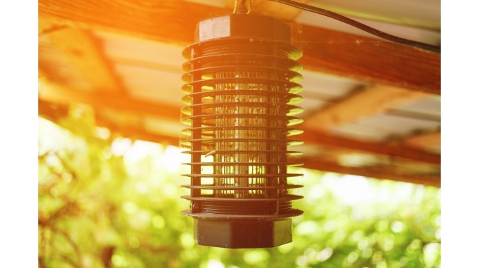 Lampy owadobójcze - na co zwrócić uwagę przed zakupem?