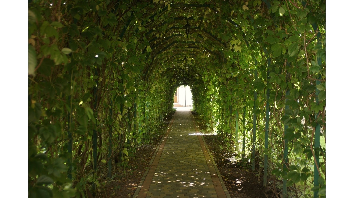 Tunel ogrodowy – jaki wybrać?